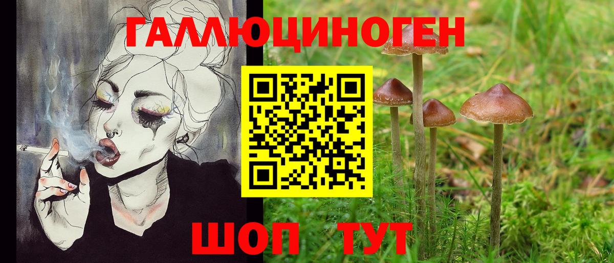 Кувандык  Галлюциногенные грибы Psilocybe  хочу   Псилоцибиновые грибы мухоморы  Вход с VPN 