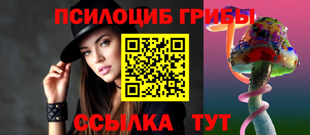 Псилоцибиновые грибы Psilocybe Кувандык